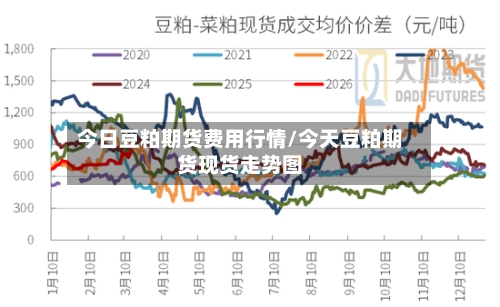 今日豆粕期货费用行情/今天豆粕期货现货走势图-第3张图片