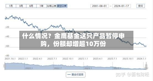 什么情况？金鹰基金这只产品暂停申购，份额却增超10万份-第3张图片