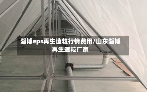 淄博eps再生造粒行情费用/山东淄博再生造粒厂家