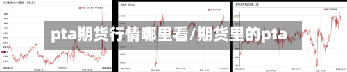 pta期货行情哪里看/期货里的pta-第2张图片