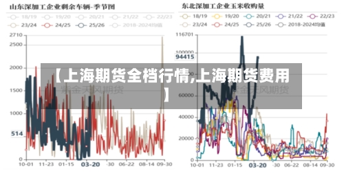 【上海期货全档行情,上海期货费用】-第1张图片