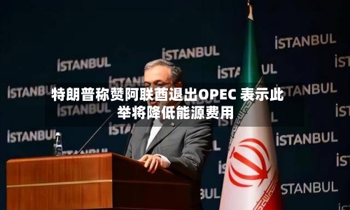 特朗普称赞阿联酋退出OPEC 表示此举将降低能源费用-第3张图片