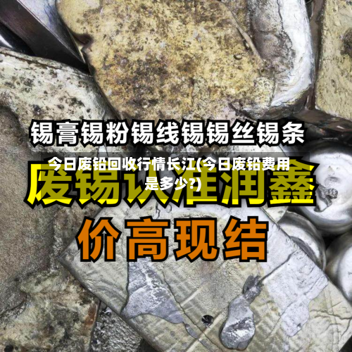 今日废铅回收行情长江(今日废铅费用是多少?)-第2张图片