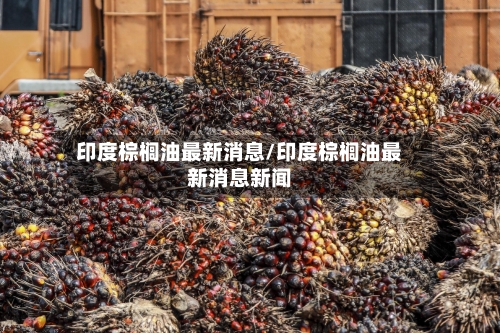 印度棕榈油最新消息/印度棕榈油最新消息新闻-第1张图片