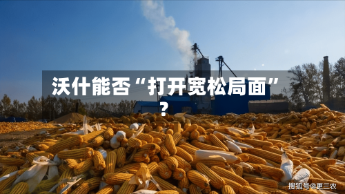 沃什能否“打开宽松局面”？-第2张图片