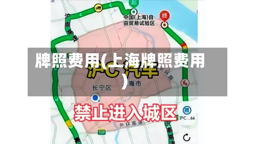 牌照费用(上海牌照费用)-第2张图片