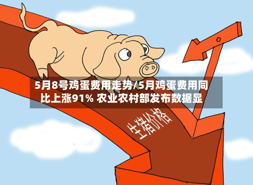 5月8号鸡蛋费用走势/5月鸡蛋费用同比上涨91% 农业农村部发布数据显-第3张图片