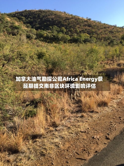 加拿大油气勘探公司Africa Energy获延期提交南非区块环境影响评估-第2张图片