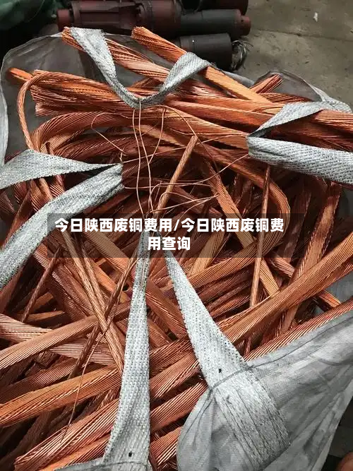 今日陕西废铜费用/今日陕西废铜费用查询-第2张图片