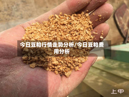今日豆粕行情走势分析/今日豆粕费用分析-第3张图片
