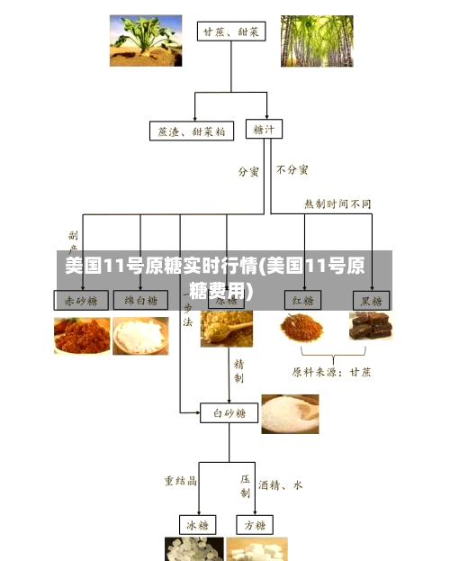 美国11号原糖实时行情(美国11号原糖费用)-第2张图片