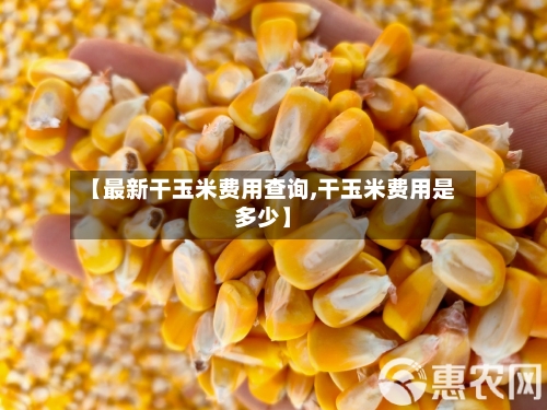 【最新干玉米费用查询,干玉米费用是多少】-第3张图片