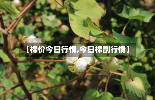 【棉价今日行情,今日棉副行情】-第2张图片