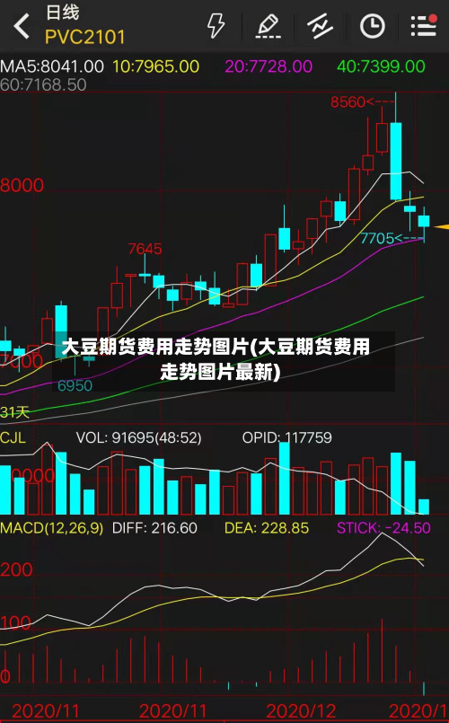 大豆期货费用走势图片(大豆期货费用走势图片最新)-第1张图片