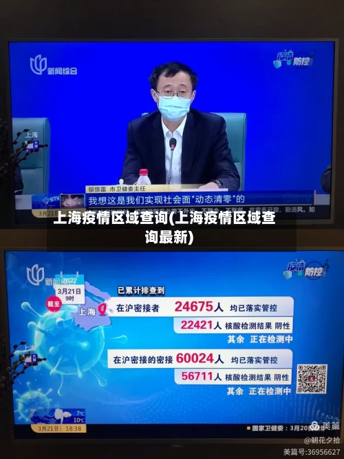 上海疫情区域查询(上海疫情区域查询最新)-第3张图片
