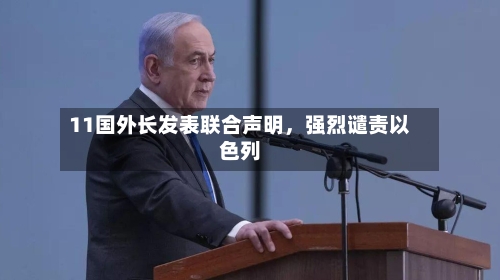 11国外长发表联合声明，强烈谴责以色列-第2张图片