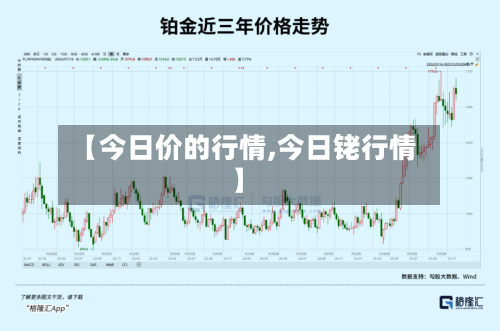 【今日价的行情,今日铑行情】-第1张图片