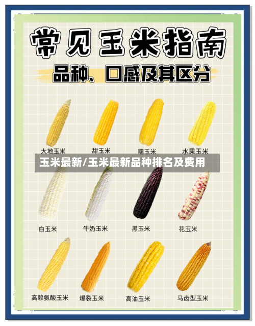 玉米最新/玉米最新品种排名及费用-第2张图片