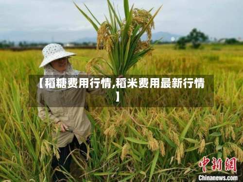 【稻糖费用行情,稻米费用最新行情】-第2张图片