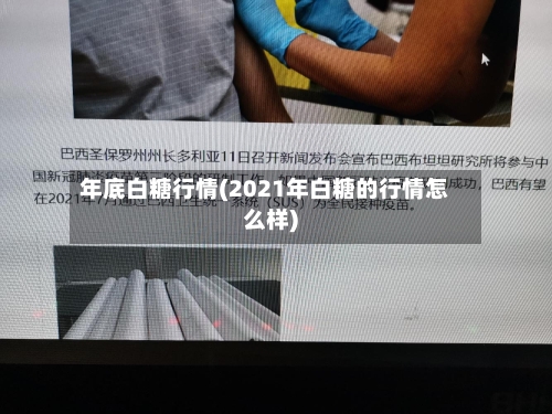 年底白糖行情(2021年白糖的行情怎么样)-第1张图片