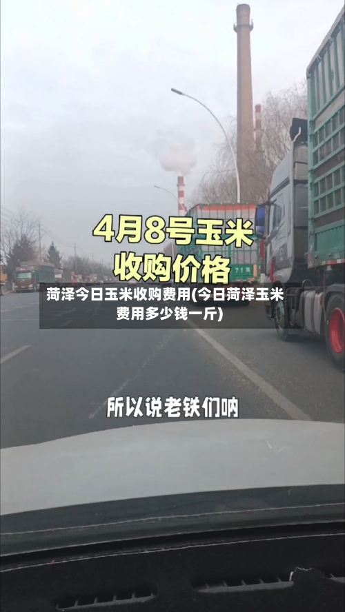 菏泽今日玉米收购费用(今日菏泽玉米费用多少钱一斤)-第2张图片