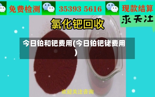 今日铂和钯费用(今日铂钯铑费用)-第2张图片