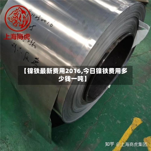 【镍铁最新费用2016,今日镍铁费用多少钱一吨】-第2张图片