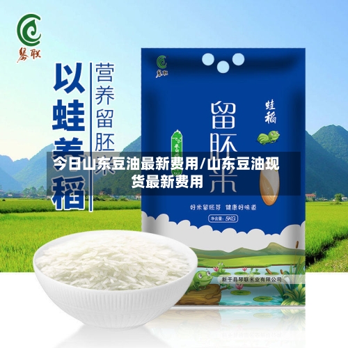 今日山东豆油最新费用/山东豆油现货最新费用-第2张图片