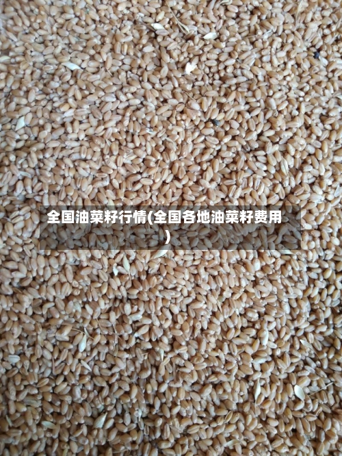 全国油菜籽行情(全国各地油菜籽费用)-第2张图片