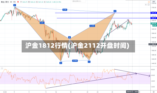 沪金1812行情(沪金2112开盘时间)-第3张图片