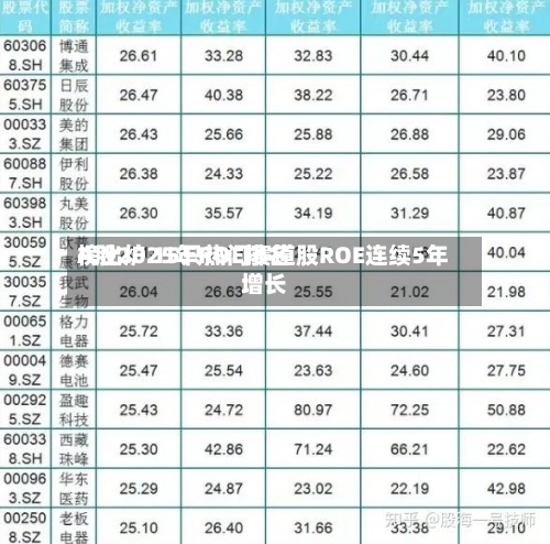 A股2025年ROE排名榜出炉 15只热门赛道股ROE连续5年增长-第1张图片