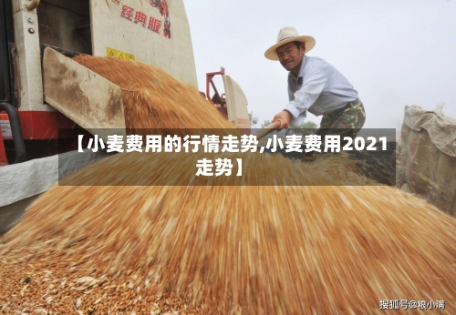 【小麦费用的行情走势,小麦费用2021走势】-第1张图片