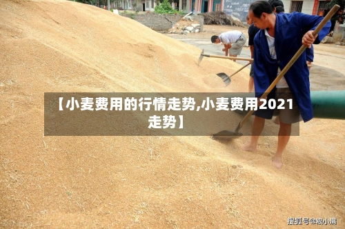 【小麦费用的行情走势,小麦费用2021走势】-第2张图片