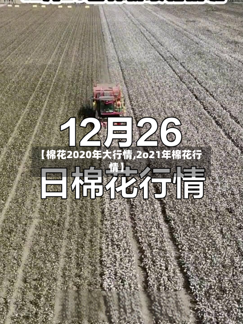 【棉花2020年大行情,2o21年棉花行情】-第3张图片