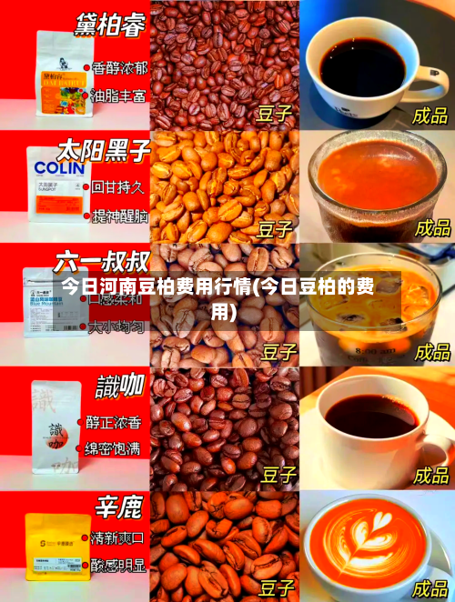 今日河南豆柏费用行情(今日豆柏的费用)-第2张图片
