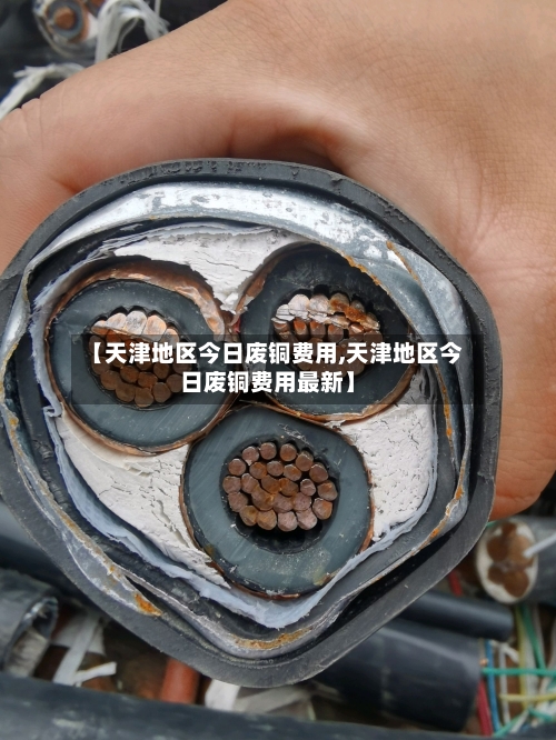 【天津地区今日废铜费用,天津地区今日废铜费用最新】-第1张图片